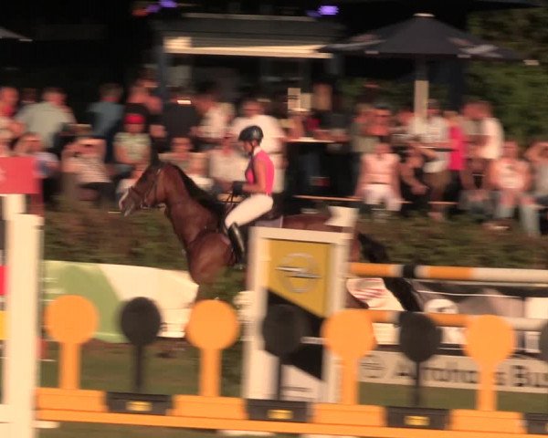 Reitturnier Vlotho-Exter 2017