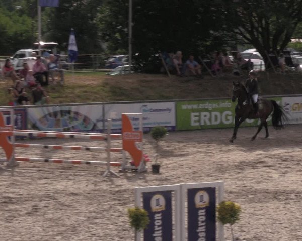 Reitturnier Görlitz 2017