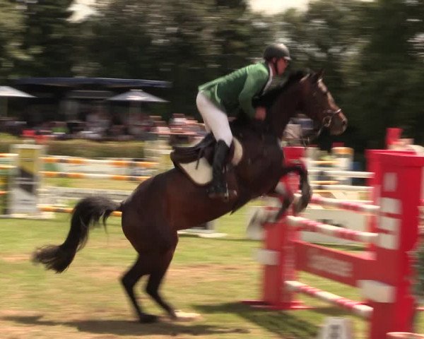 Reitturnier Vlotho-Exter 2017