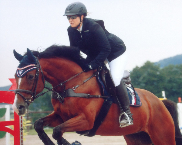 horse Quite Gold (Austrian Warmblood, 2012, from Quite Easy I)