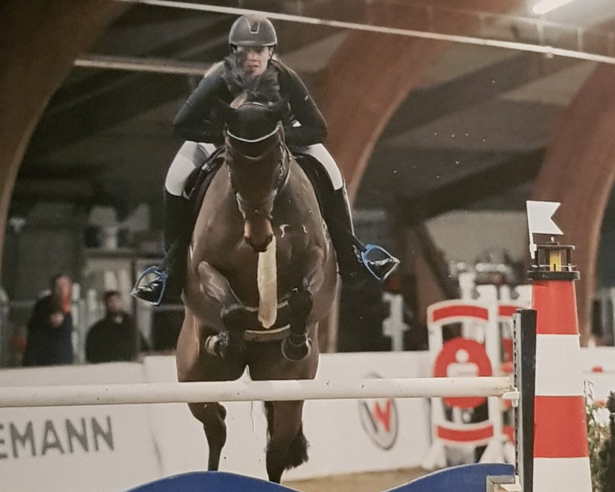 broodmare Qualifying 5 (Oldenburg show jumper, 2010, from Quality 9)