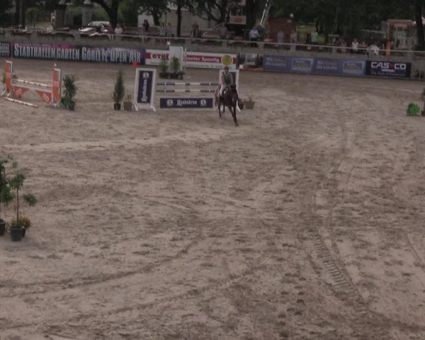 Reitturnier Görlitz 2017