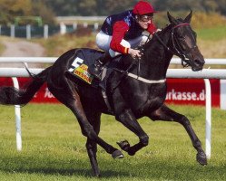 broodmare So Sorci xx (Thoroughbred, 2004, from Spectrum xx)