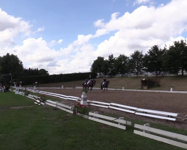 Reitturnier Vlotho-Exter 2017