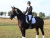 dressage horse Janeiro vS (Bavarian, 2012, from Glock's Johnson Tn)