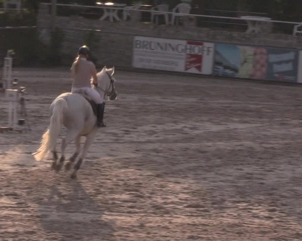 Reitturnier Görlitz 2017