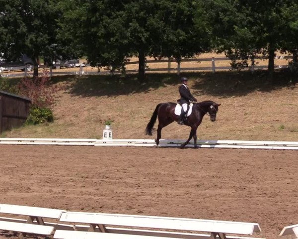 Reitturnier Vlotho-Exter 2017