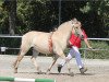 broodmare Hilja (Fjord Horse, 2013, from Tornhøjs Canut)