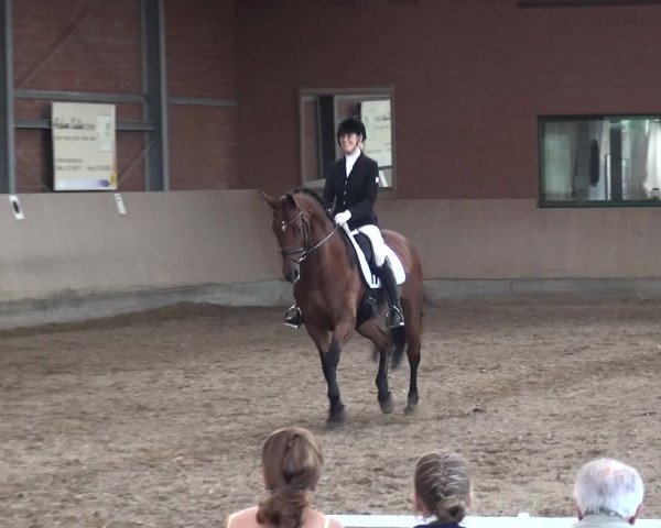 Reitturnier Neuss-Allerheiligen 2017