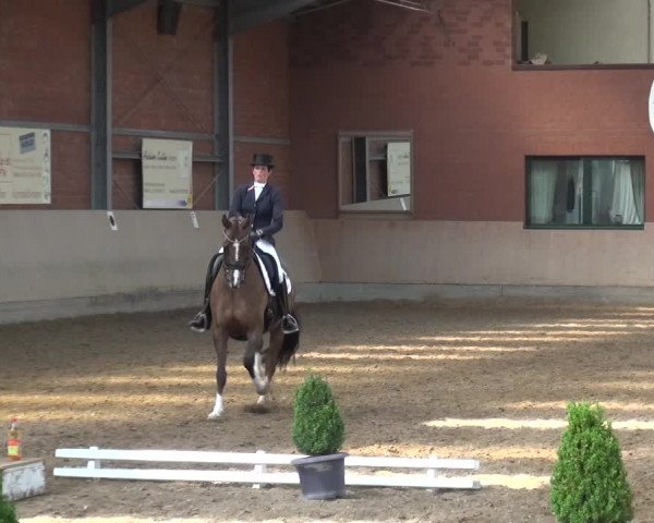 Reitturnier Neuss-Allerheiligen 2017