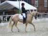 dressage horse My Mellow Peach (German Riding Pony, 2011, from The Braes My Mobility)