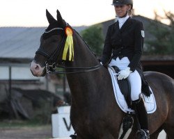 dressage horse Forlan 11 (Rhinelander, 2010, from For Romadour)