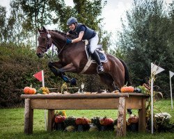 jumper Cherino 4 (Hanoverian, 2010, from Charilan)