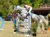 jumper Lara Croft 38 (German Sport Horse, 2010, from Laspari)