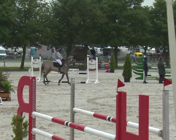 Reitturnier Rot am See- Musdorf 2017