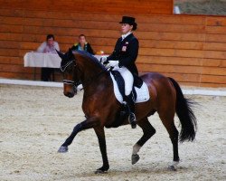 dressage horse Lindgren 2 (Oldenburg, 1999, from Levantos I)