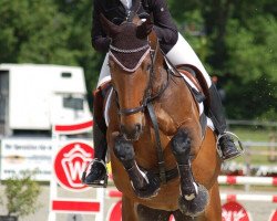 dressage horse Flirtline Girl (Westphalian, 2008, from Fuerto)