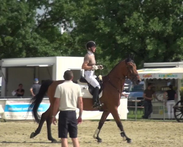 Reitturnier Neuss-Allerheiligen 2017