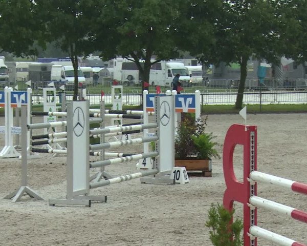 Reitturnier Rot am See- Musdorf 2017