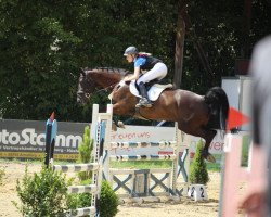 jumper Bilbao 33 (Oldenburg show jumper, 2010, from Balou du Rouet)