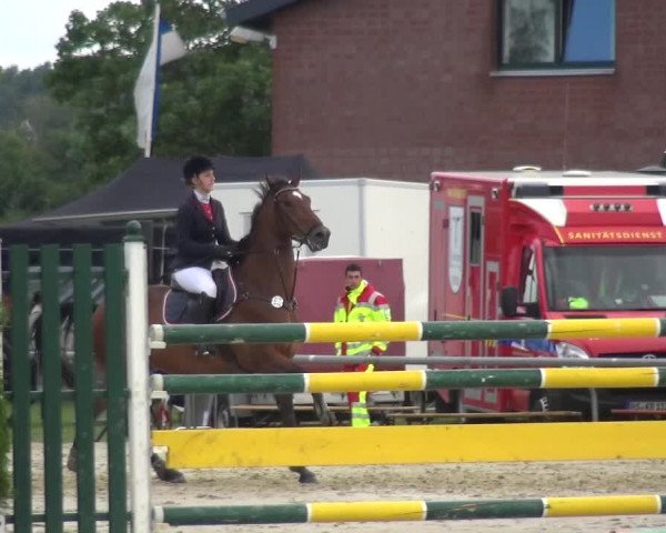 Reitturnier Neuss-Allerheiligen 2017