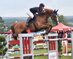 jumper Can Win (Oldenburg show jumper, 2005, from Canabis Z)