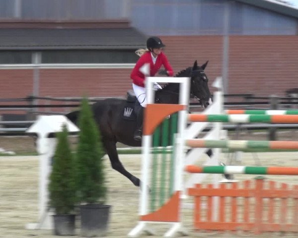 Reitturnier Neuss-Allerheiligen 2017
