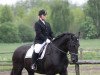 dressage horse Marten fan Augsbuurt (unknown, 2004)