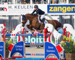 Zuchtstute Jana van D'Abdijhoeve (Belgisches Warmblut, 2009, von Baloubet du Rouet)