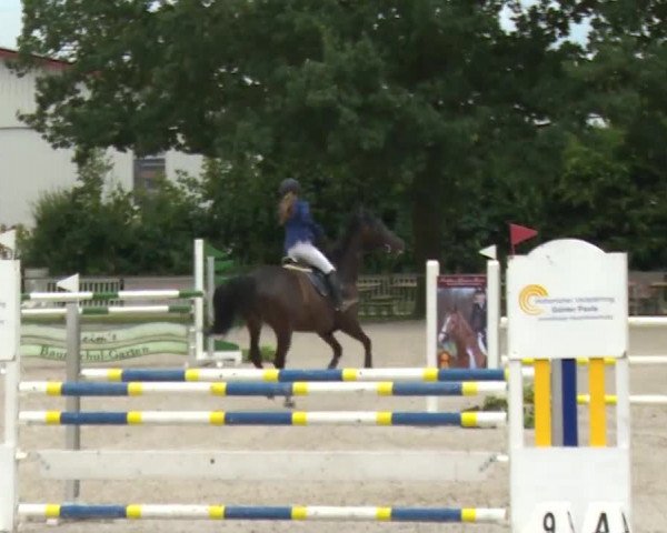 Reitturnier Rot am See- Musdorf 2017