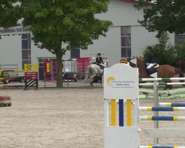 Reitturnier Rot am See- Musdorf 2017