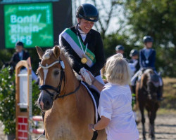 dressage horse Nektor 5 (Haflinger, 2010, from Nautic)