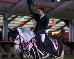 jumper Dobbey (KWPN (Royal Dutch Sporthorse), 2008, from Zirocco Blue)