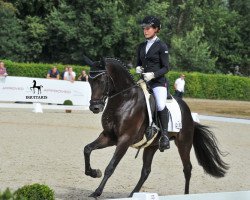 dressage horse Vapiano (German Riding Pony, 2015, from Valido's Highlight)