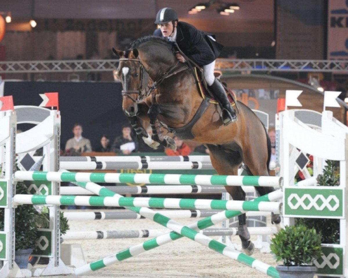 Deckhengst Va-Vite (KWPN (Niederländisches Warmblut), 2002, von Heartbreaker)
