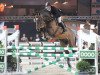 stallion Va-Vite (KWPN (Royal Dutch Sporthorse), 2002, from Heartbreaker)