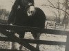 Deckhengst Bardrill Black Diamond (Clydesdale, 1980, von Balwill Grandeur)