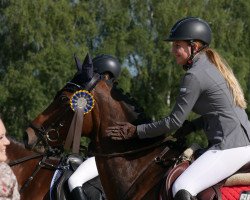 jumper Anastasia (German Sport Horse, 2004, from Catalani)