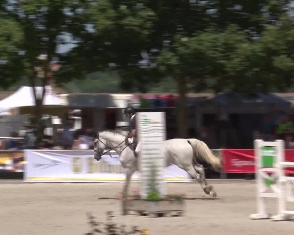Reitturnier Rot am See- Musdorf 2017