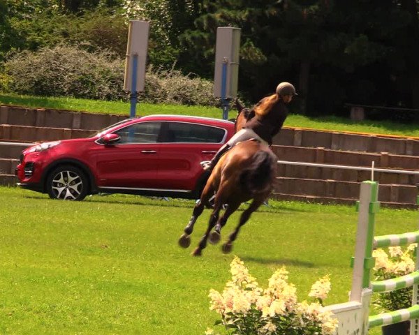 Reitturnier Baschütz bei Bautzen 2017
