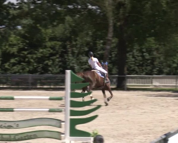 Reitturnier Rot am See- Musdorf 2017