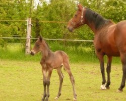 broodmare Parade (Rhinelander, 1992, from Phantom)