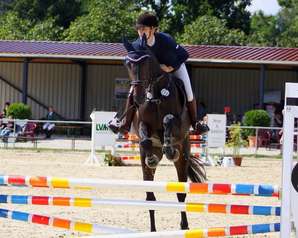 broodmare Extravaganz VEC (Holsteiner, 2012, from Diarado)