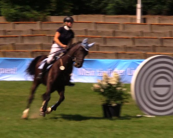 Reitturnier Baschütz bei Bautzen 2017