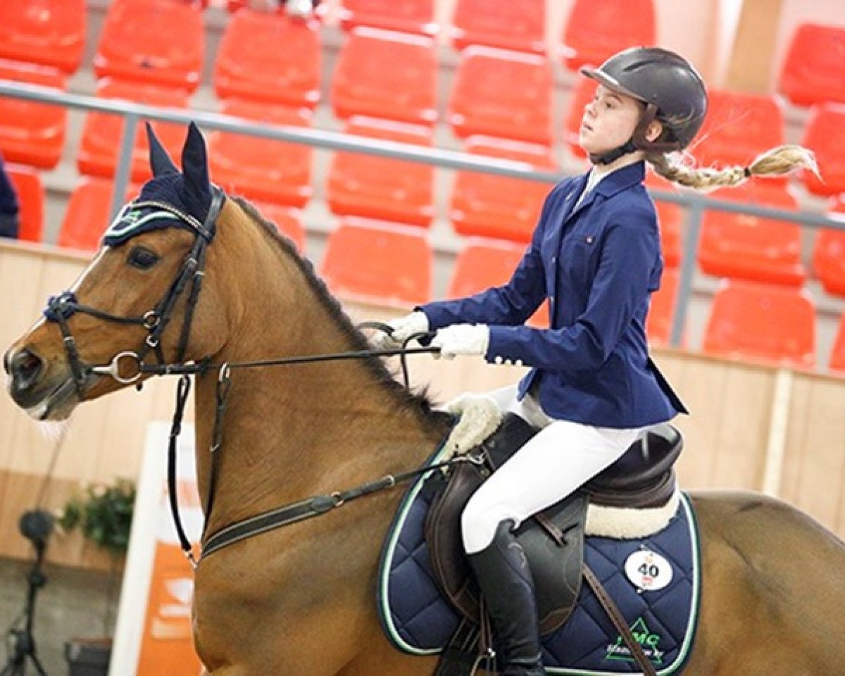 horse Orchid's Sharla (Nederlands Rijpaarden en Pony, 2004, from Justice H.R.)