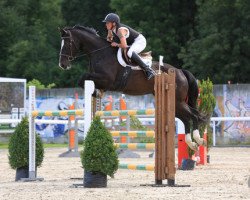 dressage horse Syrus CH (Schweizer Warmblut, 2003, from Le Grand Lord)