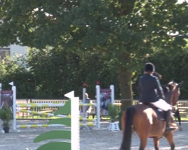 Reitturnier Rot am See- Musdorf 2017