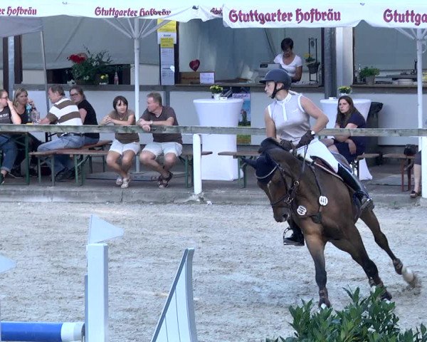 Reitturnier Waiblingen 2017