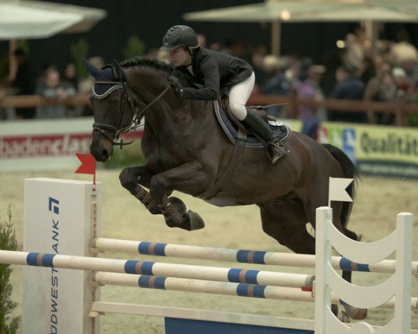 stallion HRH Pik Ayolo CH (Swiss Warmblood, 2000, from Acobat II)