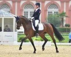 dressage horse Fraeulein Sonnenschein K (Westphalian, 2011, from Fürstenball)